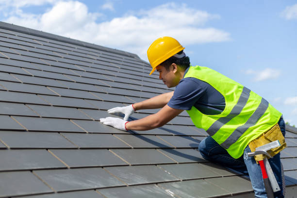 Best Flat Roof Repair Services  in Robbins, IL