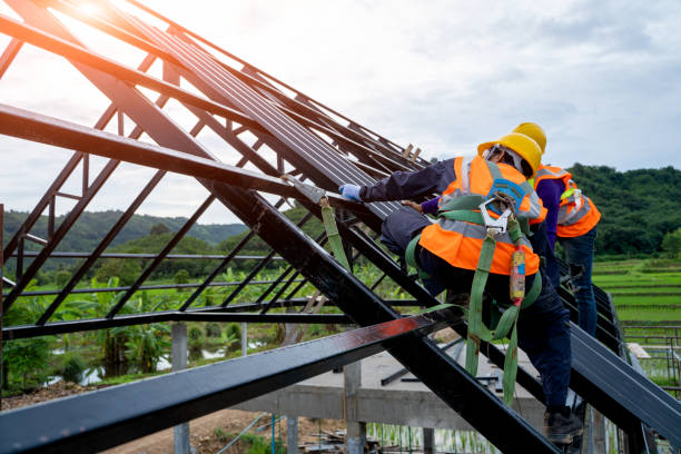 Best Shingle Roofing Installation  in Robbins, IL