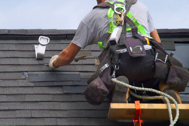Best Local Roofing Companies  in Robbins, IL