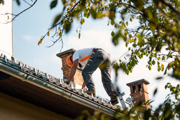 Gutter Installation and Roofing in Robbins, IL