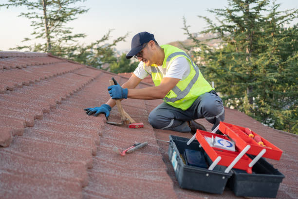 Best New Roof Installation  in Robbins, IL
