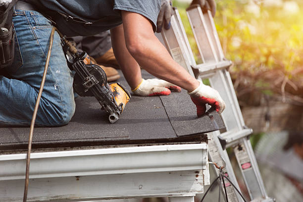 Best Storm Damage Roof Repair  in Robbins, IL