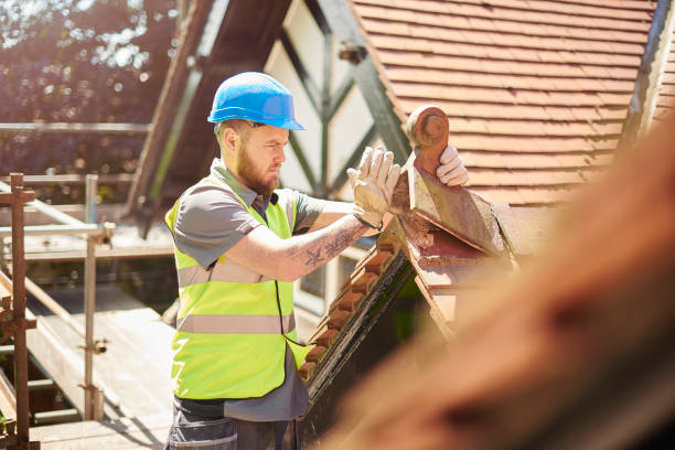 Best Metal Roofing Contractor  in Robbins, IL