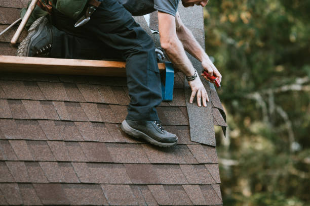 Best Roof Maintenance Services  in Robbins, IL